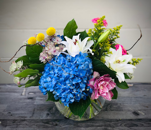 Florist «Hobby Hill Florist Inc», reviews and photos, 541 N Ridgewood Dr, Sebring, FL 33870, USA