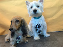 Dogtopia of Miramar - Photo 3 - Car repair in San Diego, CA, San Diego