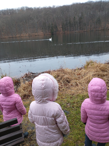 State Park «Winding Hills County Park», reviews and photos, 1847 NY-17K, Montgomery, NY 12549, USA