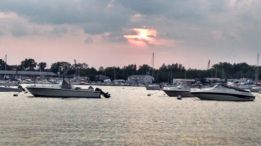 Book Store «Dolphin Bookshop», reviews and photos, 299 Main St, Port Washington, NY 11050, USA