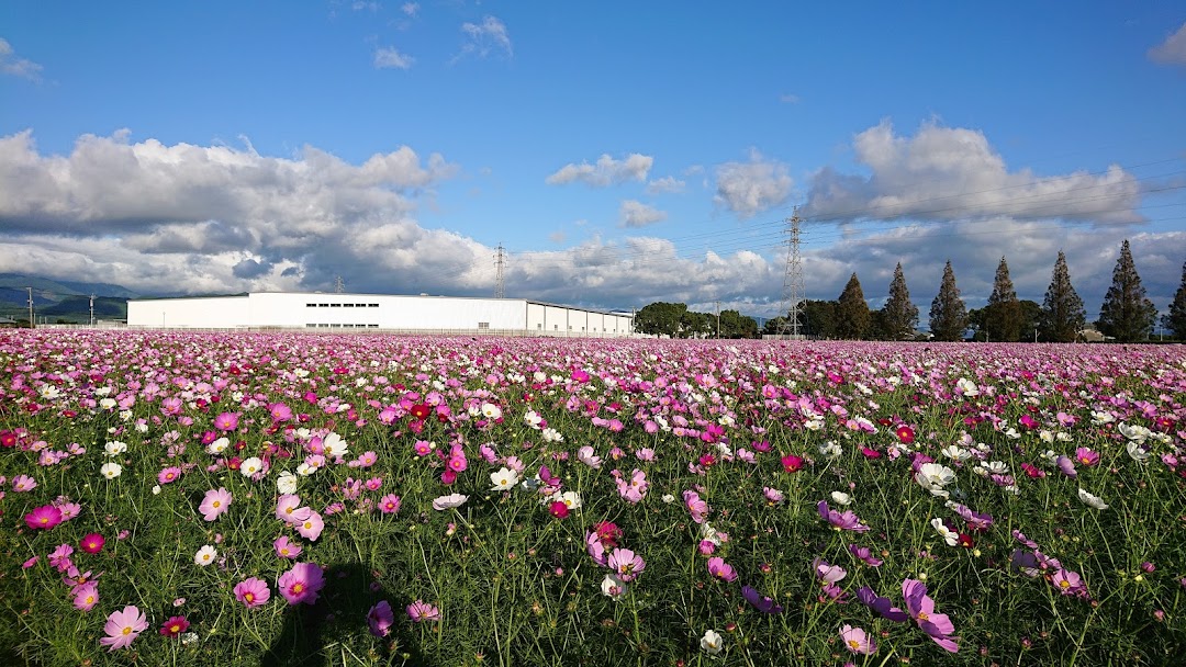 キリンビル 福岡工場