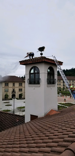 Roofing Contractor «C C & L Roofing Co», reviews and photos, 3319 SE 92nd Ave, Portland, OR 97266, USA