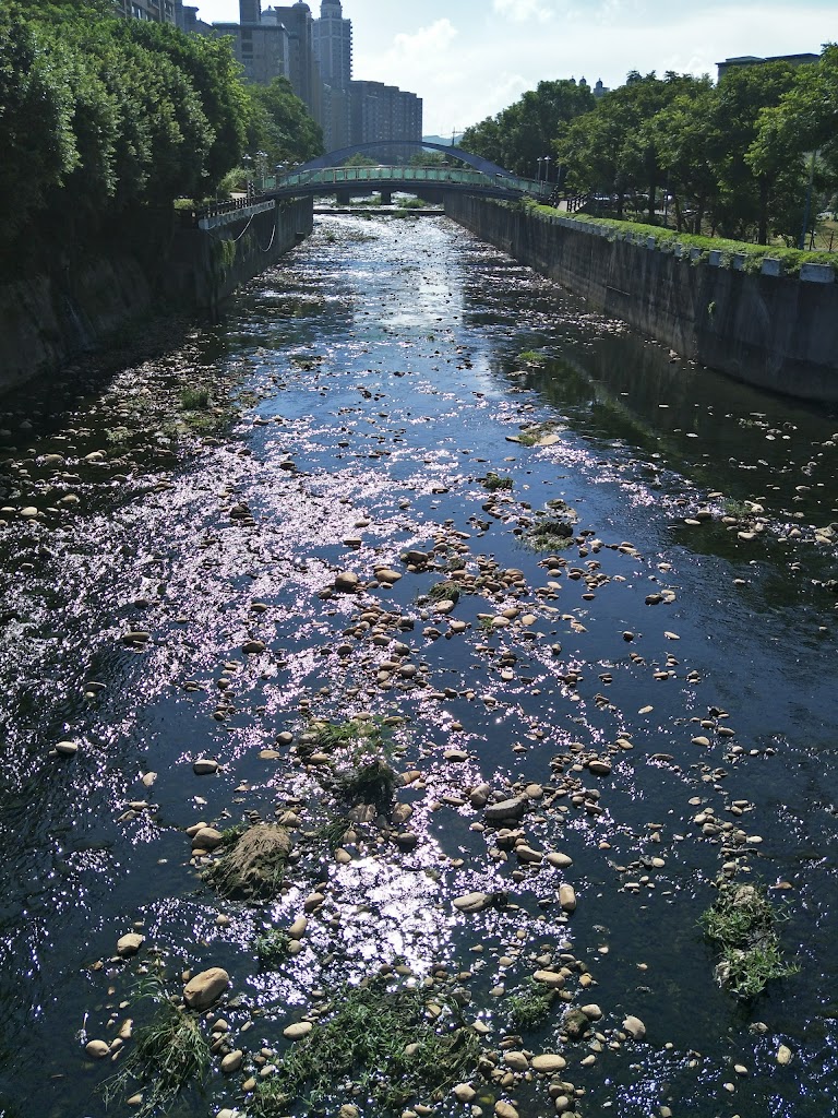 大苑子茶飲專賣店(南崁店) 的照片