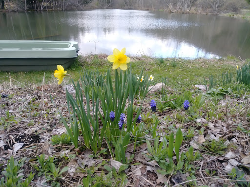 Gift Shop «Stonehedge Gardens», reviews and photos, 51 Dairy Rd, Tamaqua, PA 18252, USA