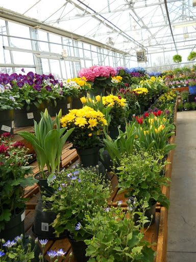 Home Improvement Store «Cashmans Ace Hardware», reviews and photos, 1595 PA-194, East Berlin, PA 17316, USA