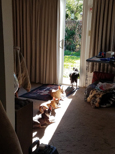Valley Veterinary Clinic image