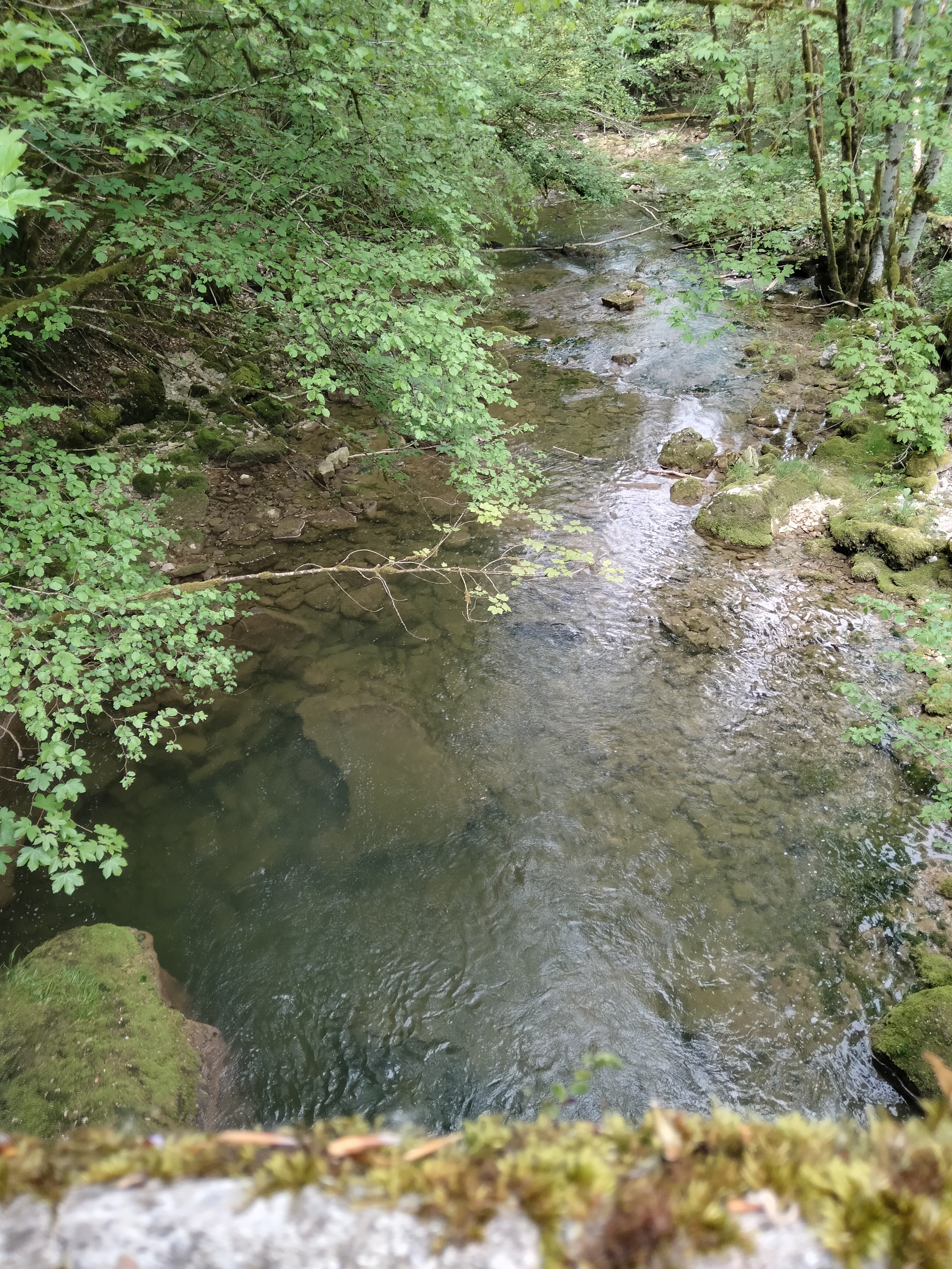 Photo n° 3 de l'avis de Pascal.a fait le 12/05/2022 à 16:58