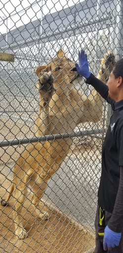 Zoo «Jr Pony Parties», reviews and photos, 1744 N Leonard Ln, Las Vegas, NV 89108, USA