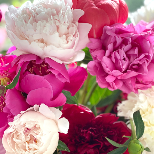 Florist «Bangor Floral», reviews and photos, 96 Center St, Bangor, ME 04401, USA