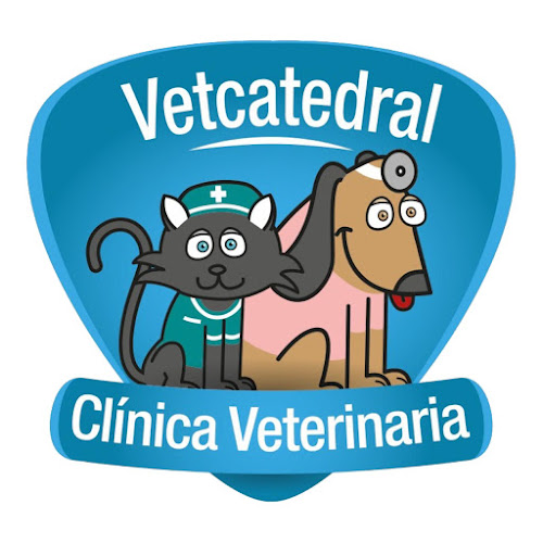 Vetcatedral - Recoleta