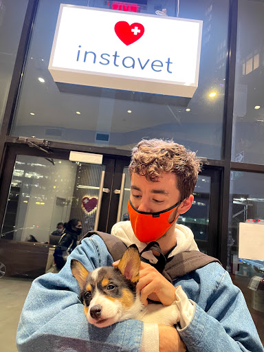 InstaVet Urgent Care & Wellness Animal Hospital - LIC Queens Pet Surgery Medical Center