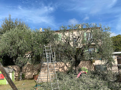 SANCHEZ GARDEN à Cagnes-sur-Mer
