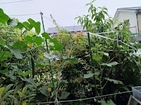 ライフステーション・あいち（ＮＰＯ法人）