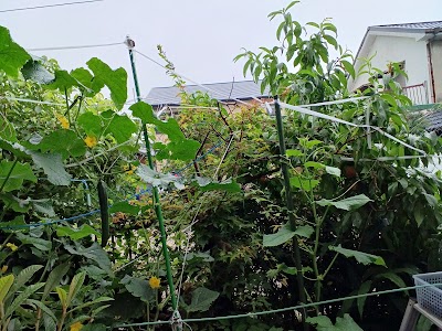 ライフステーション・あいち（ＮＰＯ法人）