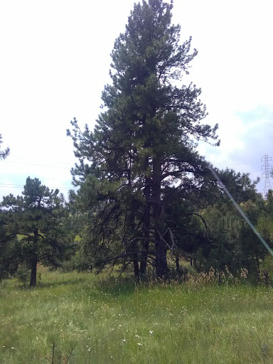 Nature Preserve «Lookout Mountain Nature Center and Preserve», reviews and photos, 910 Colorow Rd, Golden, CO 80401, USA