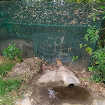 Photo n°10 de l'avis de Barbara.a fait le 22/08/2021 à 17:09 sur le  Agriturismo La BOFFALORA (BG) dal 1988... à Torre de' Roveri