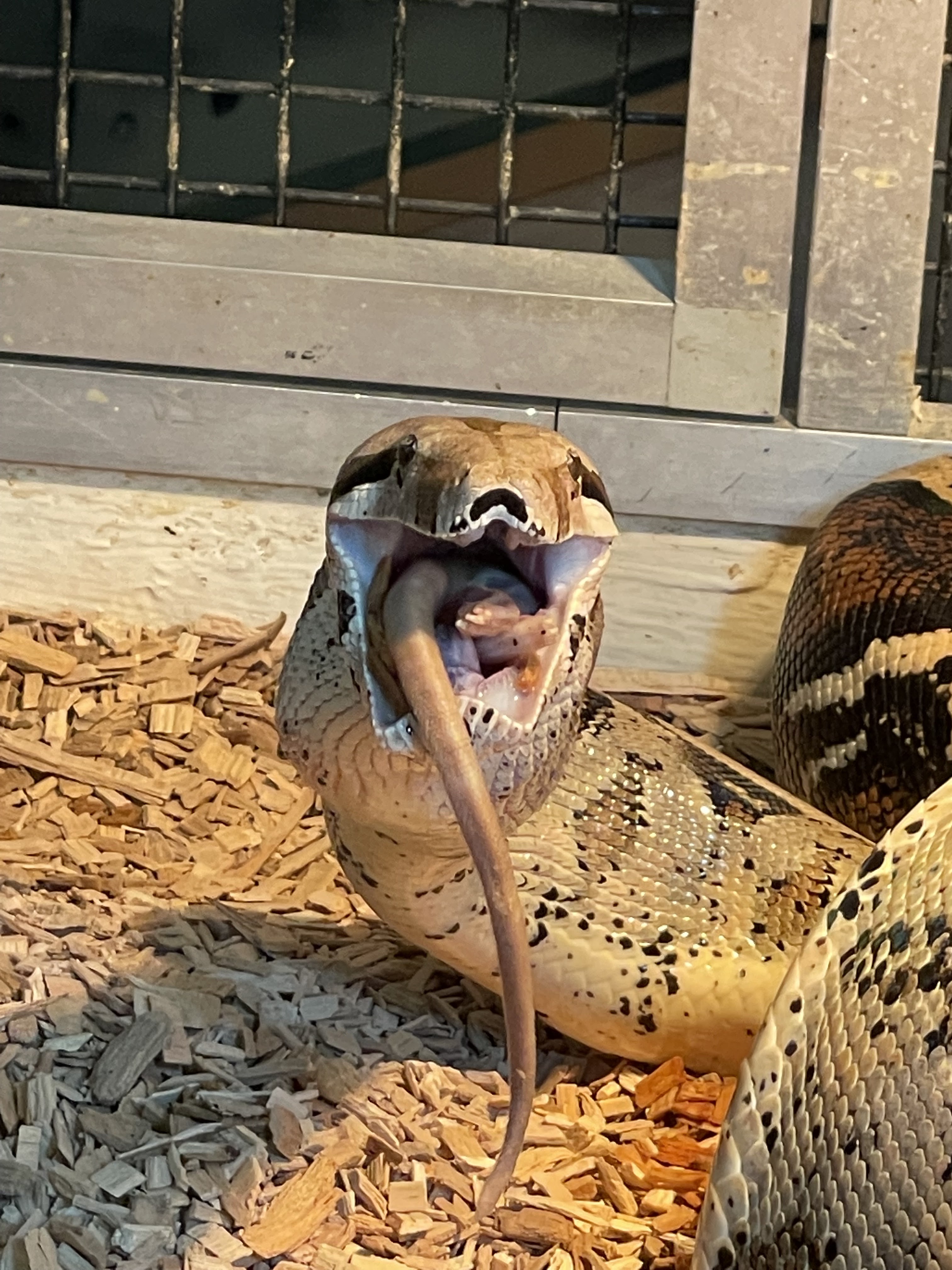 Photo n° 4 de l'avis de joel.u fait le 22/09/2021 à 14:33