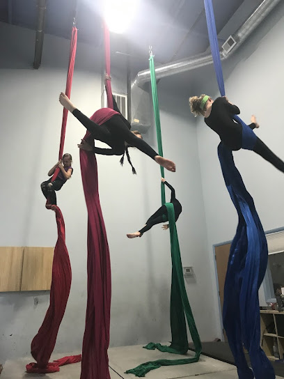 Inspired Aerial Arts