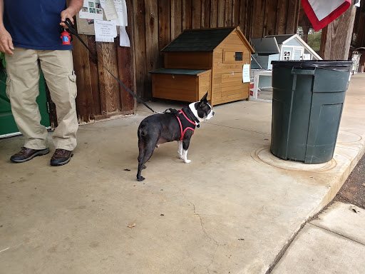 Pet Supply Store «The Stock Market Country Store», reviews and photos, 4479 Dover Pl SE, Conyers, GA 30013, USA