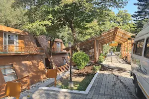 GMVN Asan Conservation Resort image
