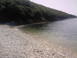 Foto von Kruche Rakita beach II mit kleine bucht