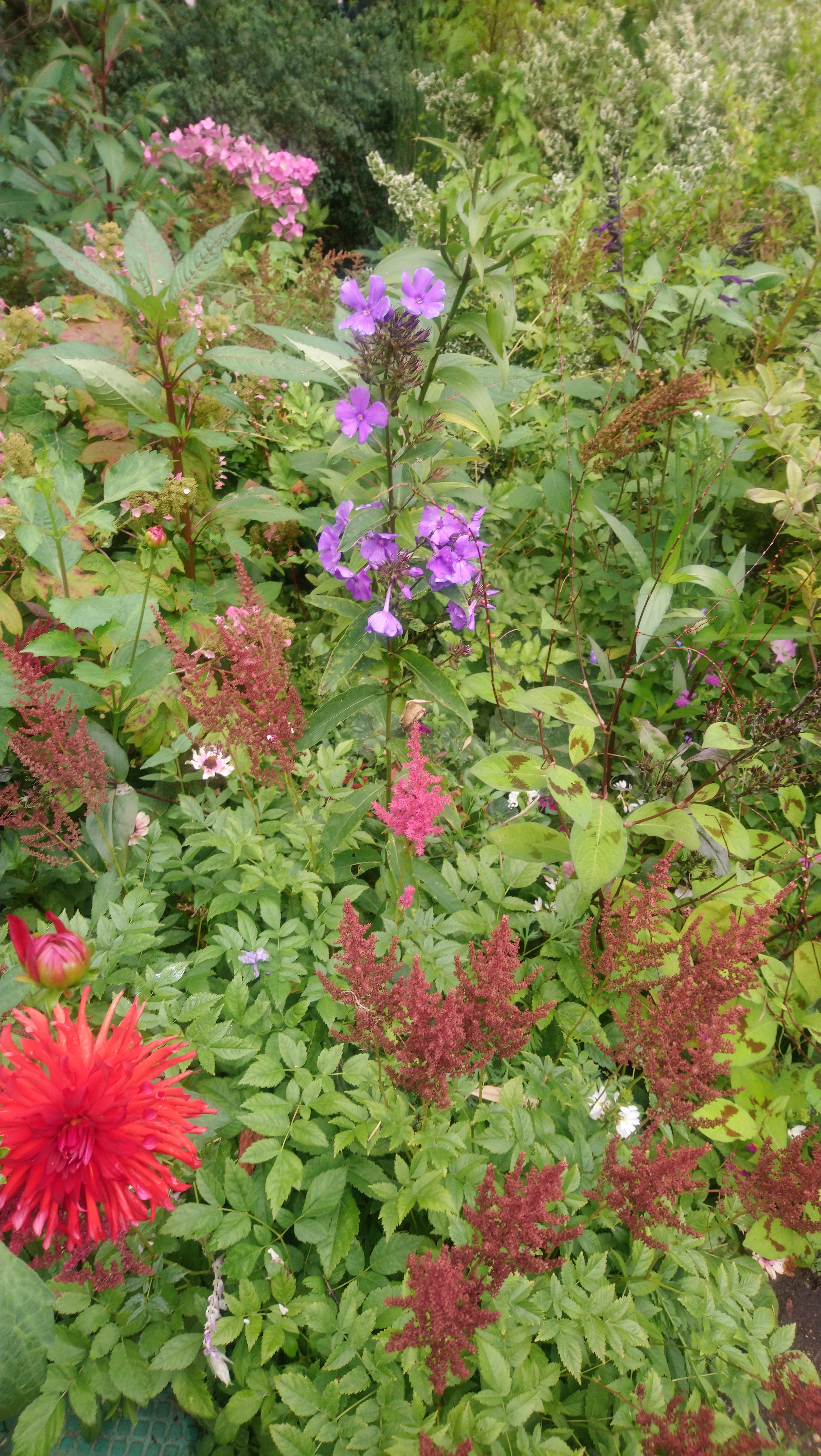Photo n° 17 de l'avis de Angèle.K fait le 03/08/2020 à 11:24