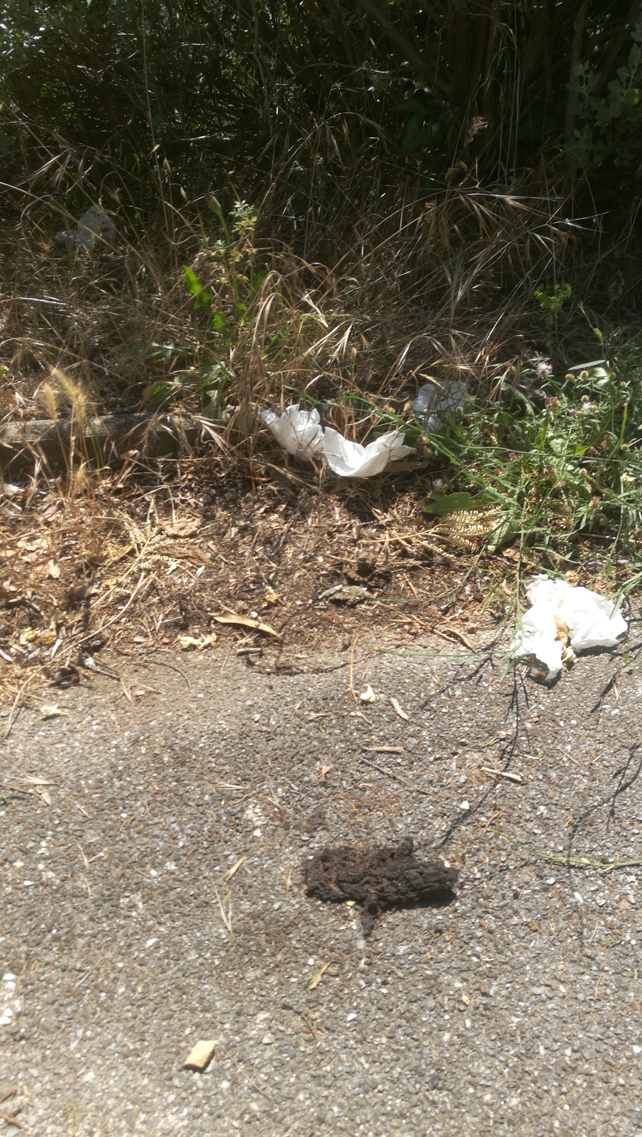 Photo n° 2 de l'avis de Remy. fait le 15/06/2018 à 16:34