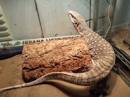 Pet Store «Mike Pet Center LLC», reviews and photos, 133 NJ-35, Neptune City, NJ 07753, USA