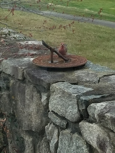 Golf Club «Reems Creek Golf Club», reviews and photos, 36 Pink Fox Cove Rd, Weaverville, NC 28787, USA