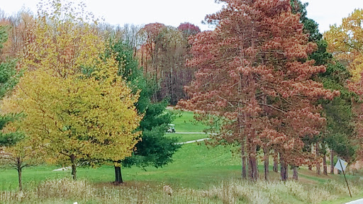 Public Golf Course «North Park Golf Course», reviews and photos, 10200 Kummer Rd, Wexford, PA 15090, USA