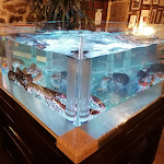 Photo n°3 de l'avis de Márcio.e fait le 04/11/2021 à 11:34 sur le  A Carvalheira à Fornelos