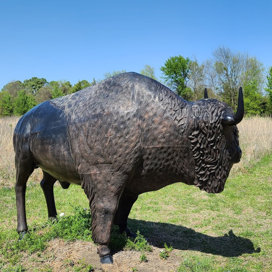 Kachina Prairie Park