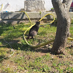 Photo n°12 de l'avis de Arianna.u fait le 04/05/2023 à 15:51 sur le  Sorelle Barnaba - Agriturismo, Ristorante, Shop prodotti tipici à Monopoli