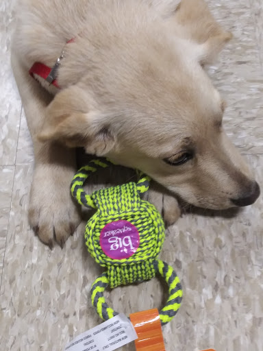 Pet Supply Store «PetSmart», reviews and photos, 14420 Farm to Market 2920, Tomball, TX 77377, USA