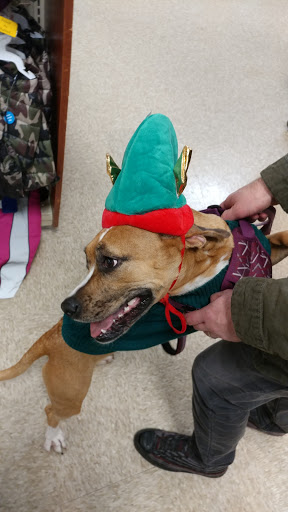 Pet Supply Store «PetSmart», reviews and photos, 3335 Cobb Pkwy NW #400, Acworth, GA 30101, USA