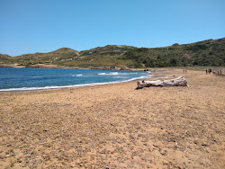 Photo de Platja de Binimel.la avec baie spacieuse