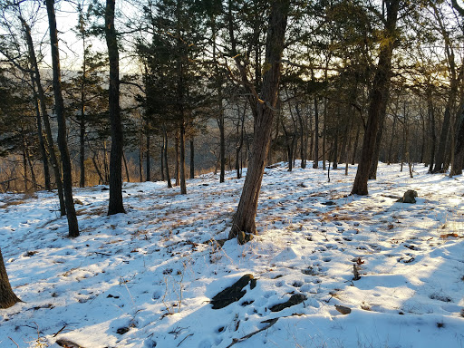 State Park «Goosepond Mountain State Park», reviews and photos, 1198 New York 17M, Chester, NY 10918, USA