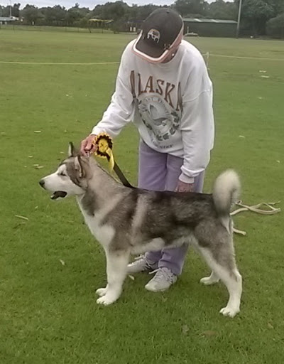 Diomede Kennels