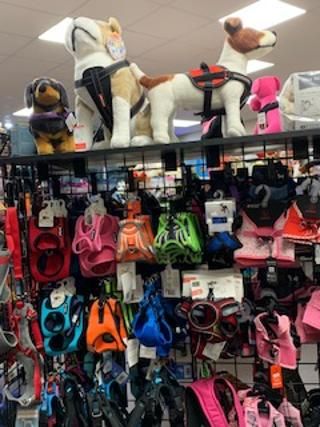 Pet Store «Island Dog», reviews and photos, 410 Mallery St, Saint Simons Island, GA 31522, USA