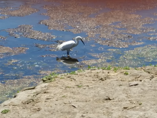 Park «Laguna Niguel Regional Park», reviews and photos, 28241 La Paz Rd, Laguna Niguel, CA 92677, USA