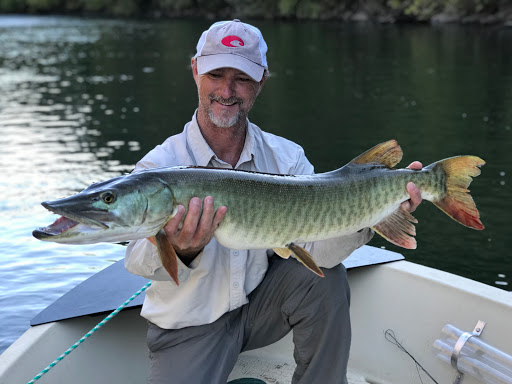 Fishing Store «Albemarle Angler», reviews and photos, 1129 Emmet St N, Charlottesville, VA 22903, USA