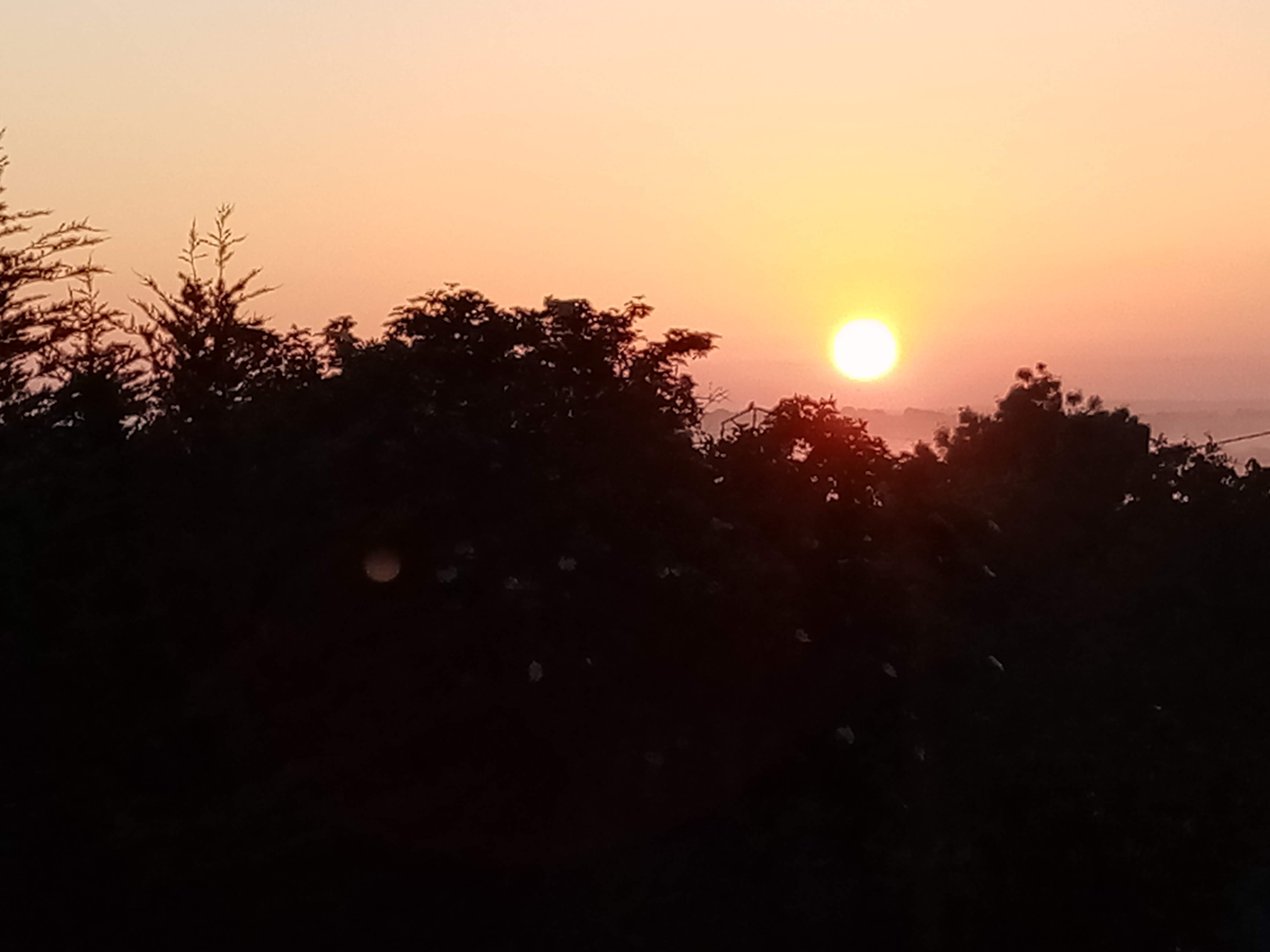 Photo n° 1 de l'avis de Michel.i fait le 10/05/2020 à 06:42