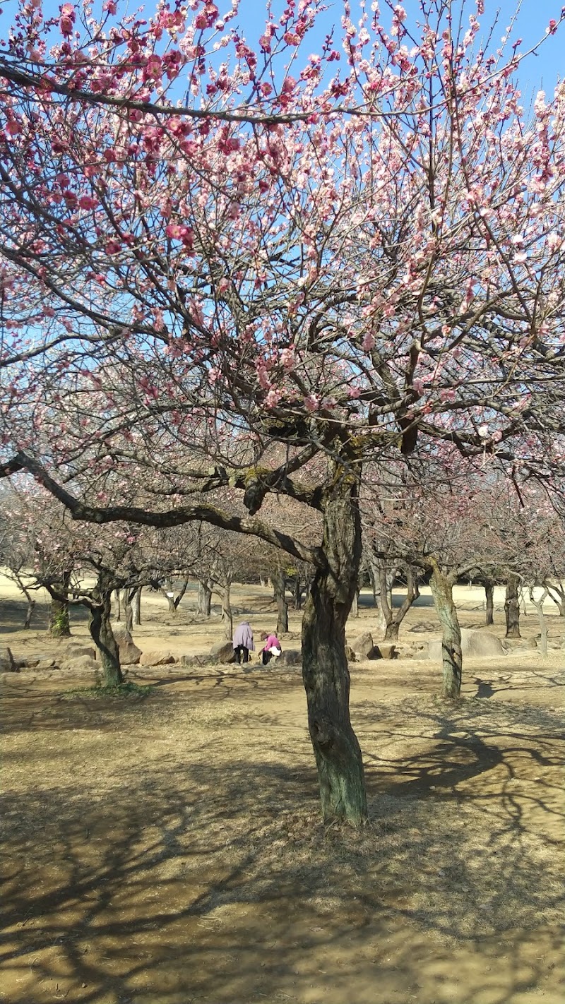 所沢航空記念公園 南駐車場