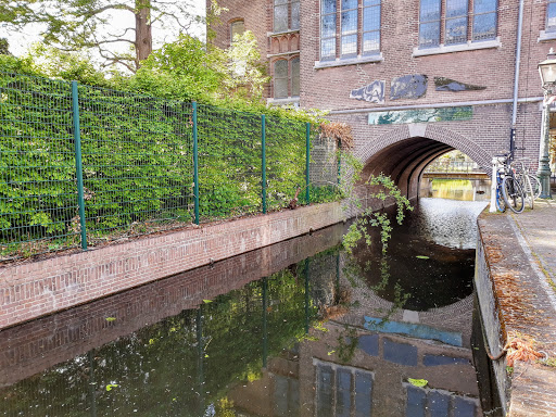 Universidad Leiden