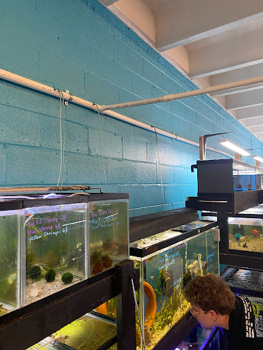 Aquarium «Skoolz of Fish», reviews and photos, 1503 Chamberlayne Ave, Richmond, VA 23222, USA