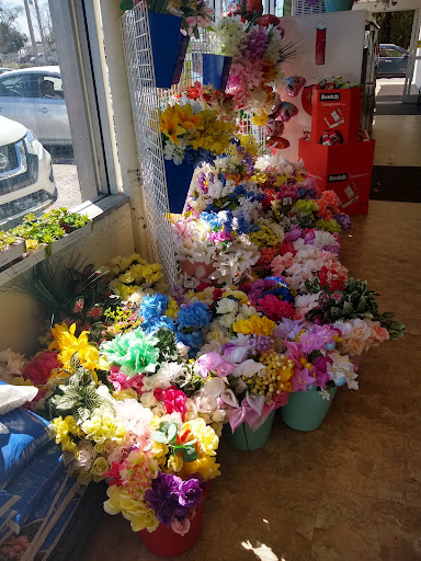 Dollar Store «Dollar Tree», reviews and photos, 2001 Rosewood Dr, Columbia, SC 29205, USA