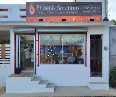 Phoenix Solutions MX.