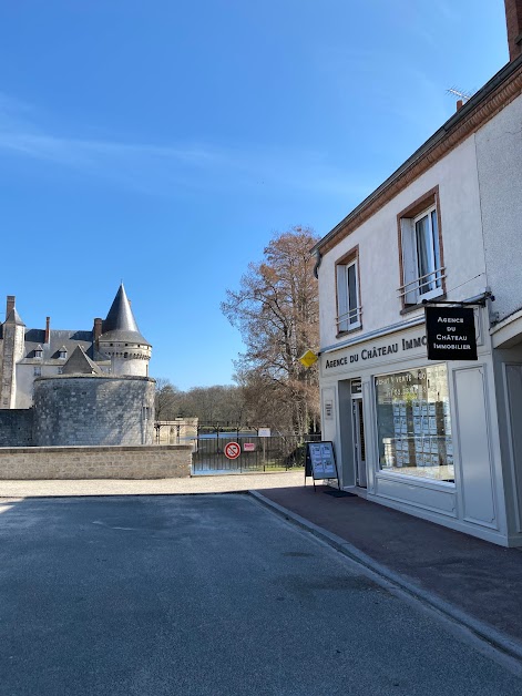 Agence du château à Sully-sur-Loire (Loiret 45)