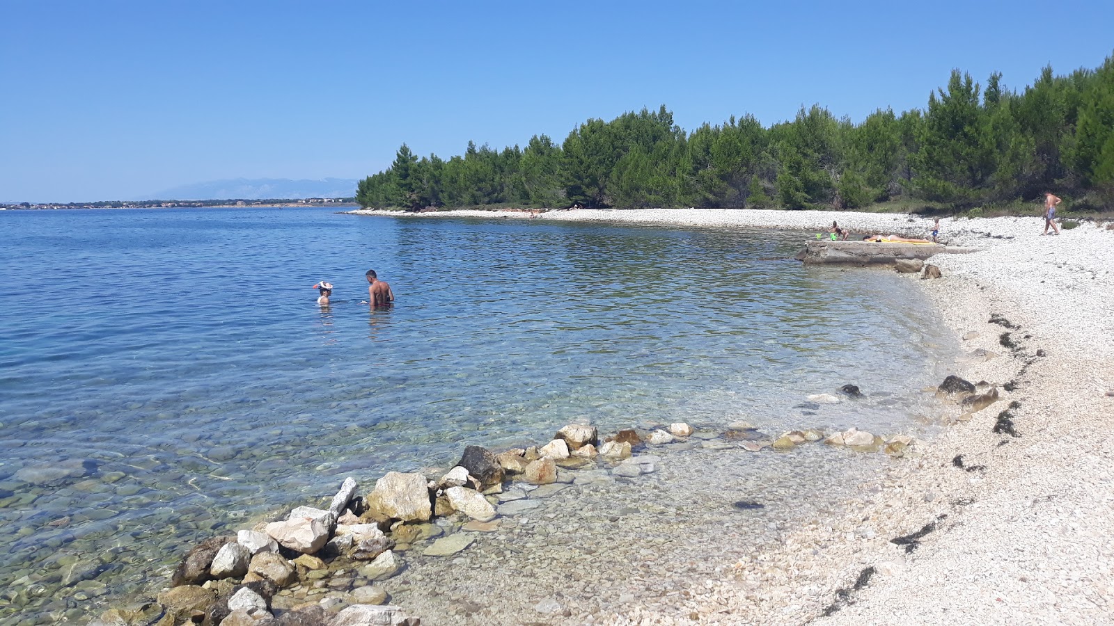 Sepurine-beach'in fotoğrafı vahşi alan
