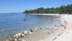 Sepurine-beach'in fotoğrafı vahşi alan